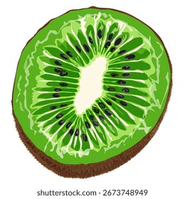 Arte vetorial de meio kiwi mostrando sementes e textura no interior.