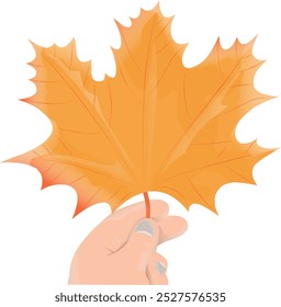 Mano de Arte vectorial de la mujer blanca hermosa que sostiene las hojas de arce del signo del otoño con los colores estéticos y calientes para los propósitos educativos Anuncio de la cubierta del cartel y edición de la Plantilla