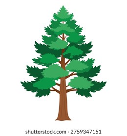 Vector art of a hardy pine for nature designs