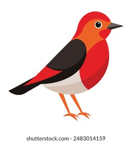 Vector art illustration of a Chucao Scelorchilus rubecula. This is vector file 