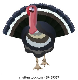 vector art illustration of farm turkey for thanksgiving day