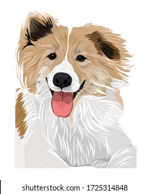 Vector art illustration of friendly dog