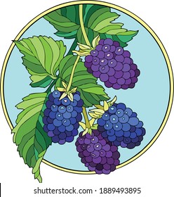 Vector art illustration of grapes seen from a window isolated on white background