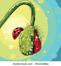 Vector art illustration of insectivorous plants