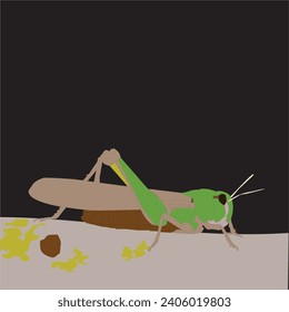 Vector Art Illustration Locusta migratoria