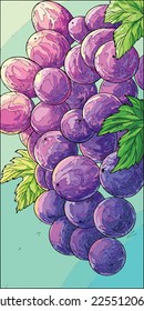 Ejemplo de arte vectorial fondo de pantalla de teléfono móvil que representa uvas