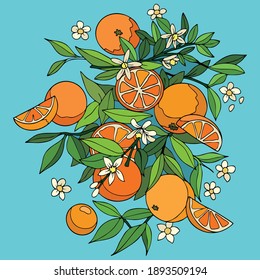 Ilustración de arte de vectores fruta naranja fondo azul marino aislado
