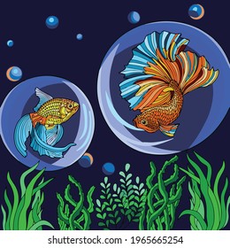 Vector art illustration of two fish swimming in their habitat