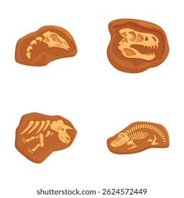 Vector art illustrations of prehistoric fossils including dinosaur bones and skeletal remains for educational museum exhibits