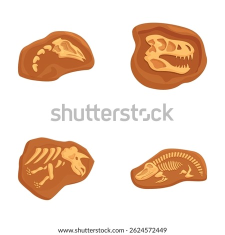 Vector art illustrations of prehistoric fossils including dinosaur bones and skeletal remains for educational museum exhibits
