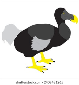 Vector Art image of the extinct Dodo bird