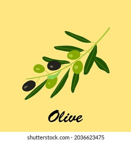 A vector art image representing an olive branch with green and black olives on a pastel yellow tone background