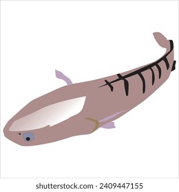 Vector Art Image of Snakehead Fish