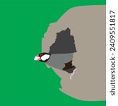 Vector Art Image of a Sparrow