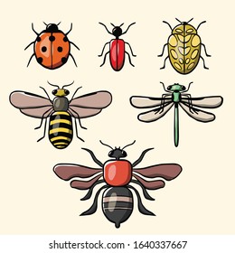 vector art of insects. Colorful insects with many types, ladybug, bee, dragonfly.