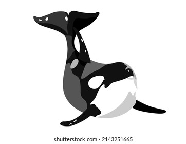 Vector art killer whale without background