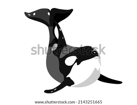 Vector art killer whale without background