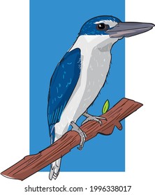 arte vectorial Kingfisher
El Collard Kingfisher es un kingfisher de tamaño medio que pertenece al grupo de los arboles kingfisher.  