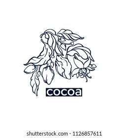 Vector art line logo. Chocolate symbol of cocoa tree, branch, leaves, bean, grain, flower. Organic chocolate, bio drink, sweet vegan food. Floral sketch emblem Nature illustration on white background 