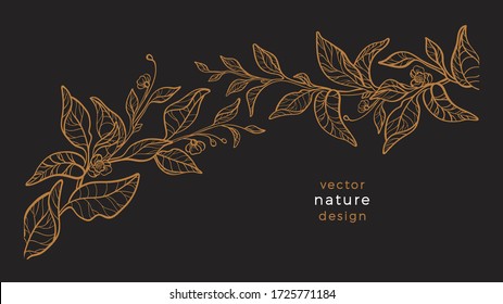 Vector art line nature. Floral plant, hand drawing graphic illustration. Botany tea branch, leaf, flower in bloom. 