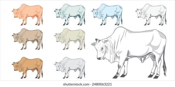 Arte vectorial de vacas indonesias locales. adecuado para cubiertas de libros, Cupones y mucho más