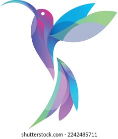 Vector art  logo illustration colibri
