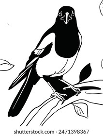 Vector art of Magpie Bird