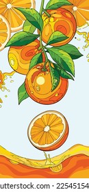 Vector art mobile wallpaper illustration depicting a very fresh citrus fruit