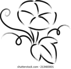 vector art: Morning Glory
