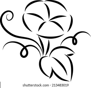vector art: Morning Glory