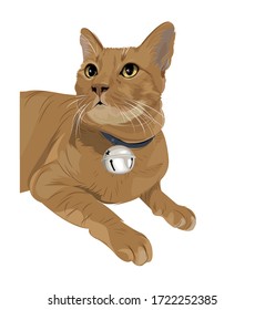 Vector Art Orange Cat With A Big Neck Bell