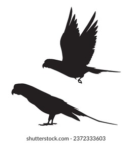 Vector Art of Parrot Silhouette