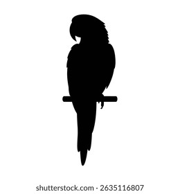 Vector art of a parrot in a vibrant pose, ideal for wildlife graphics, branding, or creative projects.