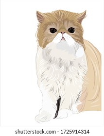 Vector art of persian chubby cat sitting