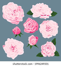vector art pink roses and leaves