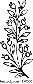 vector art of a plant