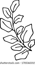 vector art of a plant