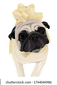 Vector art of a present pug dog cute puppy