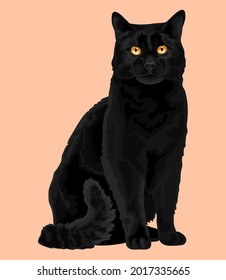 Free Black Cat Vector Art - Download 201+ Black Cat Icons & Graphics -  Pixabay
