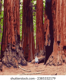 Vektorkunst des Redwood-Nationalparks mit einem einzigartigen Blick auf die riesigen Rotholzbäume. Eine Illustration für Kunstdrucke, Abzeichen oder Designs.