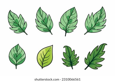 Vector Art, Set Leaves Illustration, Clipart