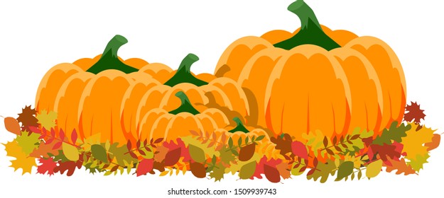 Vector art, set of orange pumpkins and colorful leaves. Harvest, symbol of the autumn and halloween.