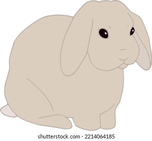 Vector de conejo sentado. Un conejito simple y bien hecho a mano. Animales aislados. Icono de mascota