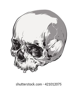 Vector art of skull isolated on white. 