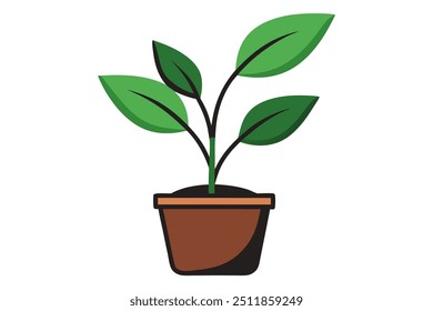 Arte vectorial de la Pequeña planta sobre fondo blanco