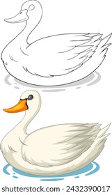 Vector art of a swan, sketched and colored versions.