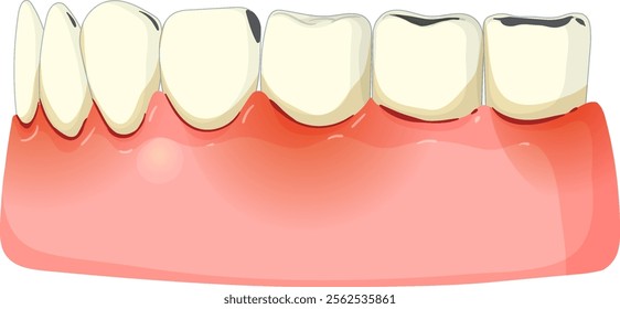 Vector art of teeth and gums for dental health