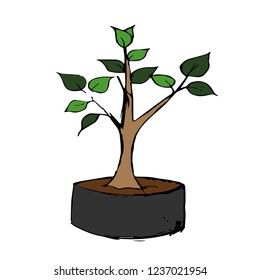 vector  art tree green 