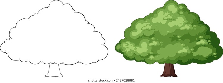 Vector art of a tree in two seasonal states