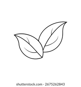 Arte vectorial de dos hojas verdes